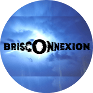 Logo BRISCONNEXION
